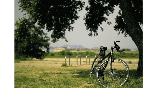 自転車防犯登録カードを紛失した時の自転車の譲渡や処分方法を解説！