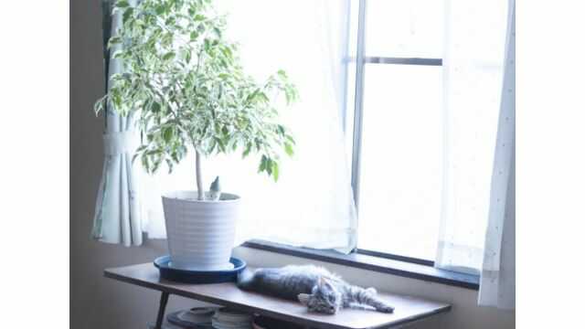 関電SOSで起こる誤作動とは？事例を紹介！